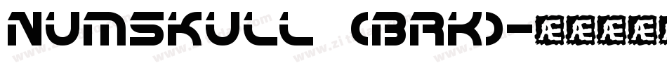 Numskull (BRK)字体转换